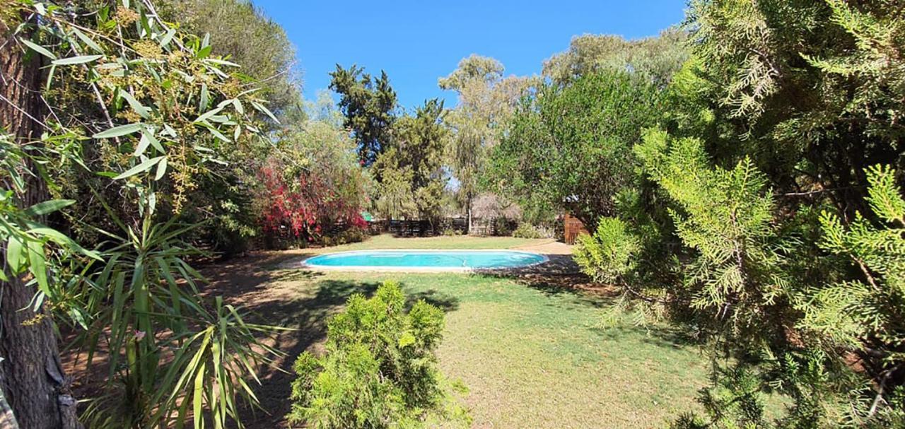 Welgeluk Feather Palace Oudtshoorn Dış mekan fotoğraf